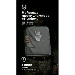 Балістичні пакети під бронежилет Crye Precision AVS (1 клас | L | 2 шт. | 1110 г | НВМПЕ ✡ Ізраїль) ТМ Балістика 2414 фото