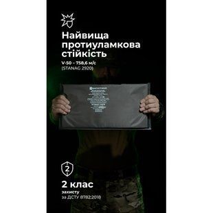 Балістичний пакет (2 клас | 20&times;40 см | 655 г | НВМПЕ ✡ Ізраїль) ТМ Балістика 2295 фото
